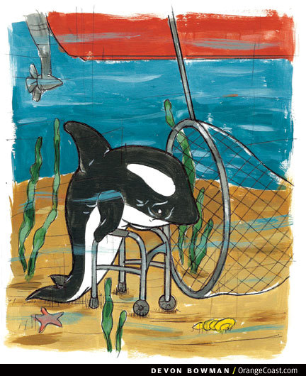OC Answer Man: The first capture of a killer whale was in Newport Harbor?