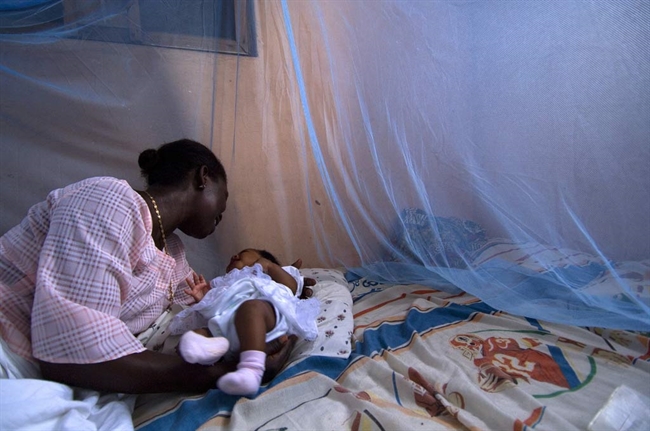 Ahead of World Malaria Day, UN officials urge continued investment in fight ...