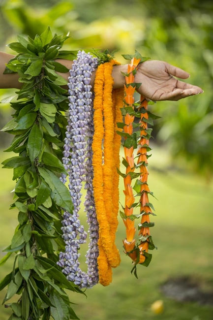 May Day is Lei Day in Hawaii. Here's a roundup of celebrations around the state.