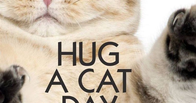 Feline love: It's Hug Your Cat Day