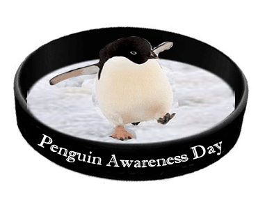 It's World Penguin Awareness Day - here's how the Echo has helped raise ...