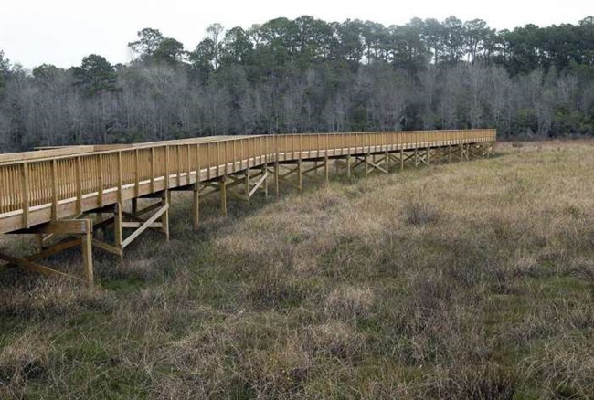 New 1500-foot boardwalk at Laura S. Walker State Park among attractions at ...