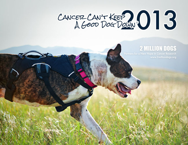 The Puppy Up Foundation announces Cancer Can't Keep a Good Dog Down 2015 ...