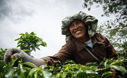 5 Ways to Celebrate Fair Trade Month and Actually Make a Difference
