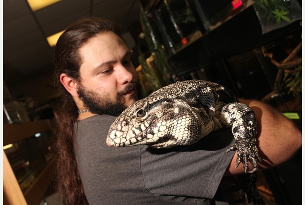 Nottingham's lizard lovers ready to celebrate Reptile Awareness Day