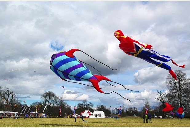 Strong winds cause cancellation of Calke Abbey kite flying day