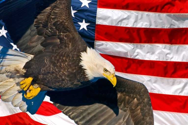 US celebrates American Eagle Day