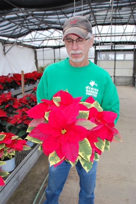 Buy local on Poinsettia Day