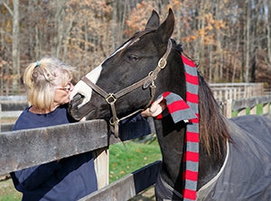 To the Rescue: Help A Horse Day is in April; volunteerism is rewarded