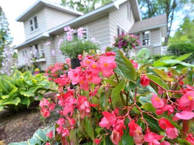 Garden of the Month: Bursting with color