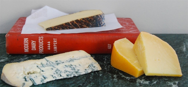 Cheese, please: Today is Cheese Lovers' Day
