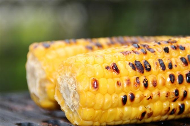 Corn On The Cob Day 2015: How To Grill, Boil And Roast Corn To Buttery, Golden ...