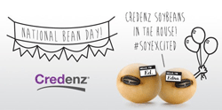Credenz Spokesbeans #SoyExcited on National Bean Day
