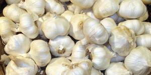Garlic Day