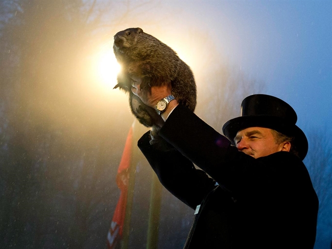 Groundhog Day: Five absurd facts you probably didn't know about the ...