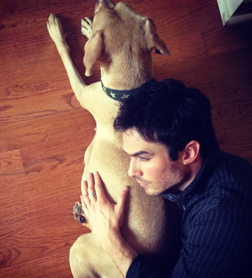 National Love Your Pet Day 2014: Celebrities Show Off Their Dogs To Honor ...