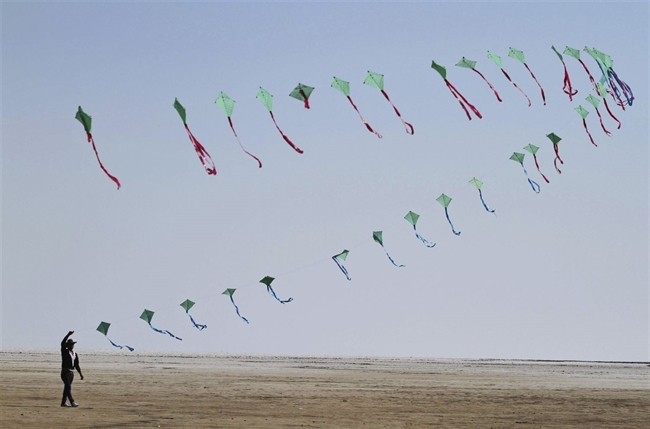 Kite Flying Day 2015: How to fly, where to buy and how to make kites