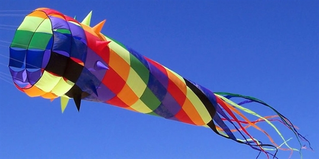 Kite Flying Day
