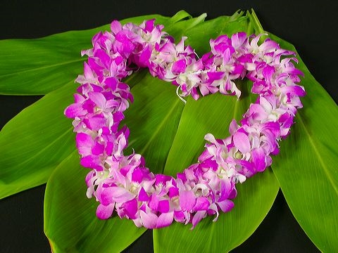 Is Lei Day the Greatest American Holiday?
