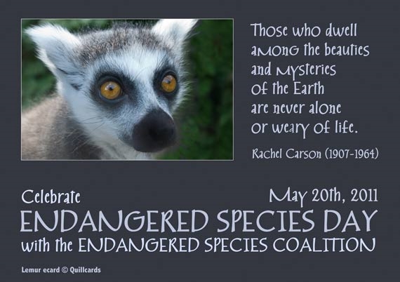 10th Annual Endangered Species Day Special Program