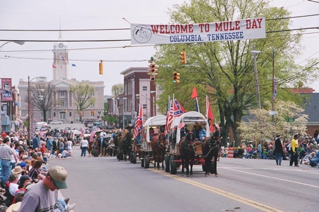 Thousands gallop to Calvary for Mule Day
