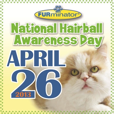 Got Hairballs? ASPCA Offers Tips On National Hairball Awareness Day