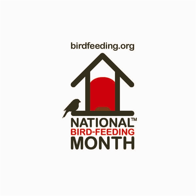 For the Birds: Gearing up for National Bird Feeding Month