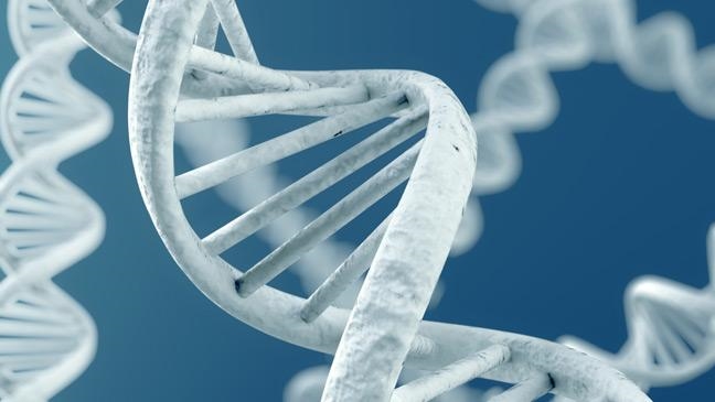DNA Day 2015: celebrating advances in genetics and gene therapy [infographic]