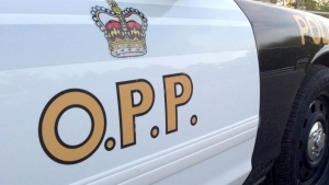OPP constable charged with assault in Canada Day incident
