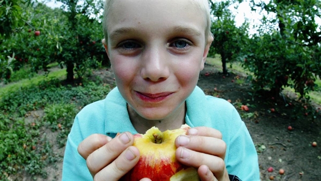 Barny asks Aussies to eat an apple