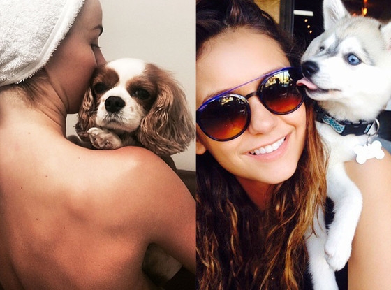 Happy National Puppy Day! See Channing Tatum, Miley Cyrus, Jessica Biel & More ...