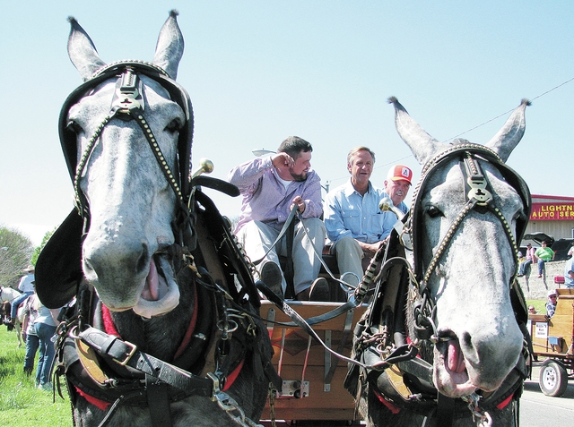 Haslam heads Mule Day parade