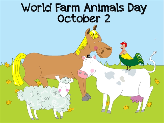 World Farm Animals Day: Is The Urban Chicken Movement Right For You?