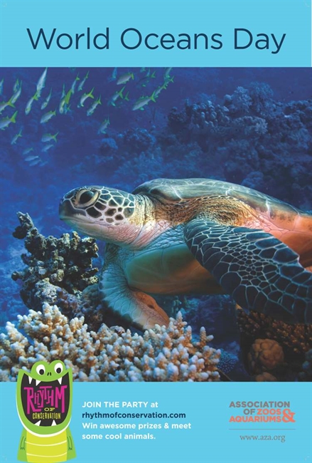 National Aquarium Celebrates World Oceans Day